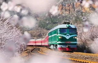 晨曦列车安装包：体验日出时刻的魅力，感受清晨列车带来的惊喜旅程