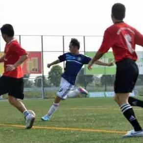 全明星足球手游攻略:从新手到高手的全方位提升技巧与战术解析 全明星足球手游攻略:从新手到高手的全方位提升技巧与战术解析